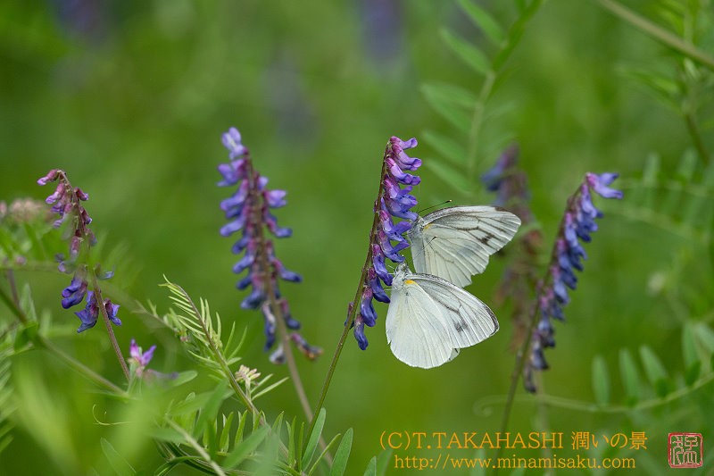 ../Images/7R250705 (142).jpg